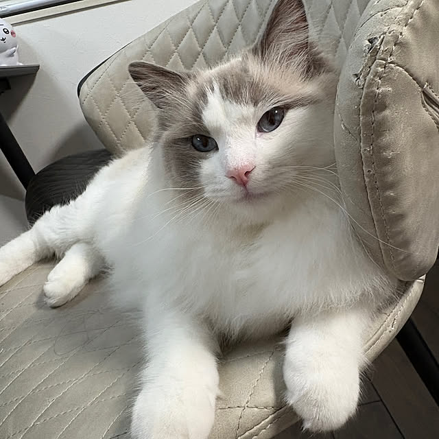 tasoさんの部屋
