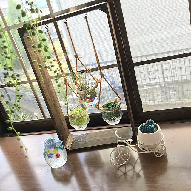 collonさんの実例写真