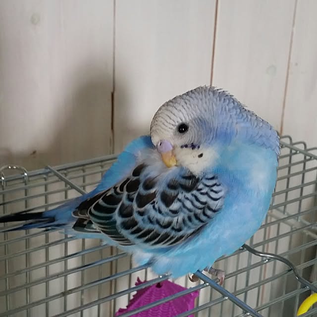 karinさんの実例写真