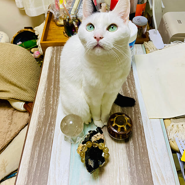 YUKAさんの実例写真