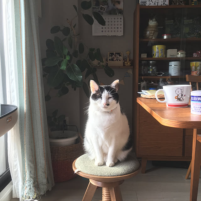 hanaさんの実例写真