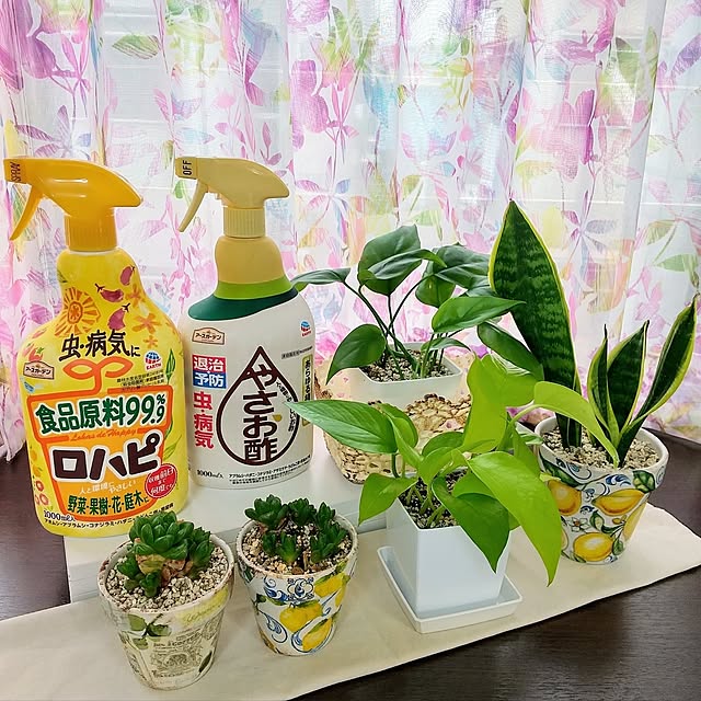 meiさんの実例写真