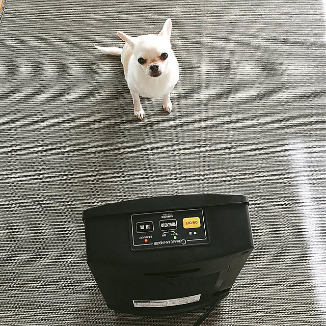 koromo.さんの実例写真