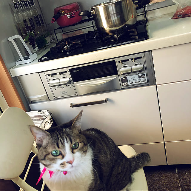 nnmmさんの実例写真