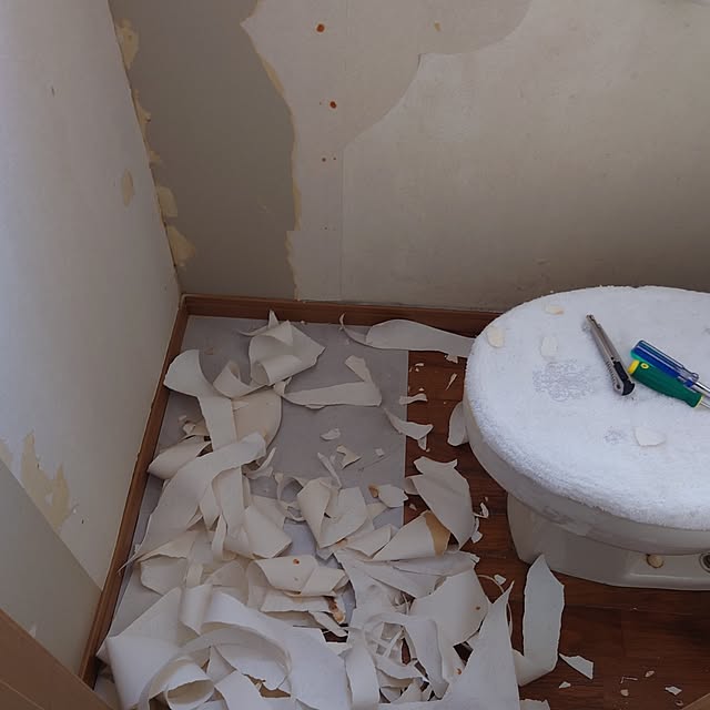 tokotokoさんの部屋