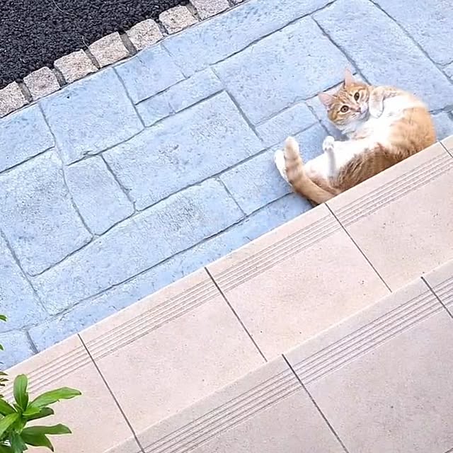 minnieさんの部屋