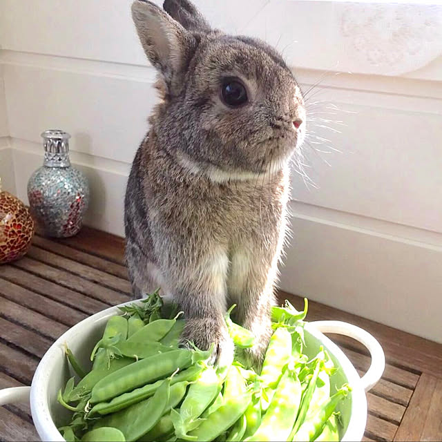 nmomoさんの実例写真