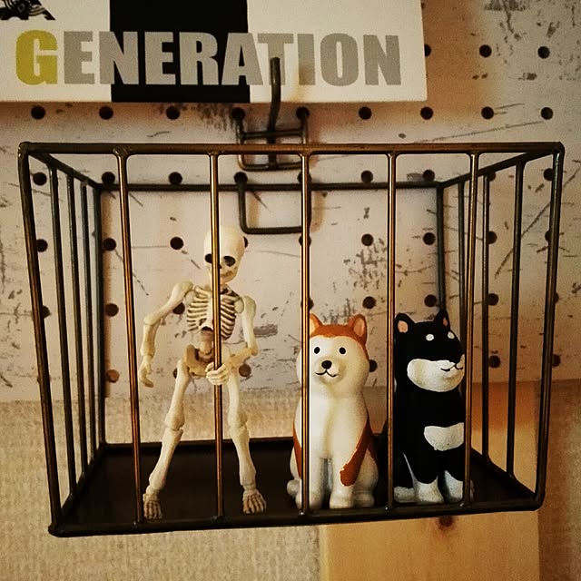 YAGI555さんの実例写真