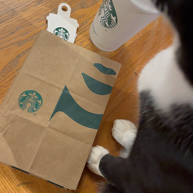 kozakura10さんの部屋