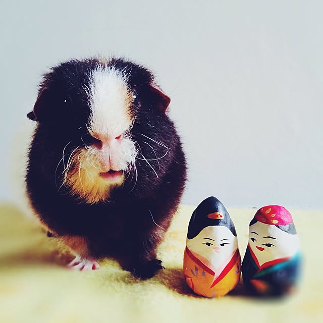 molmiyaさんの実例写真