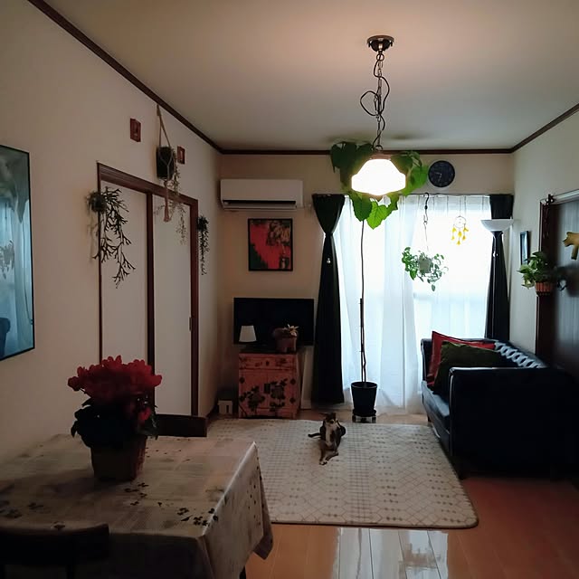 moruさんの実例写真