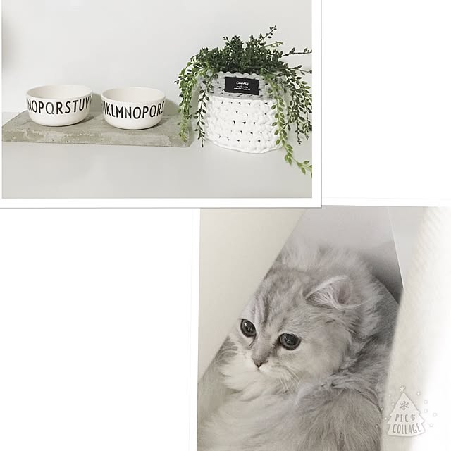 cocoさんの実例写真