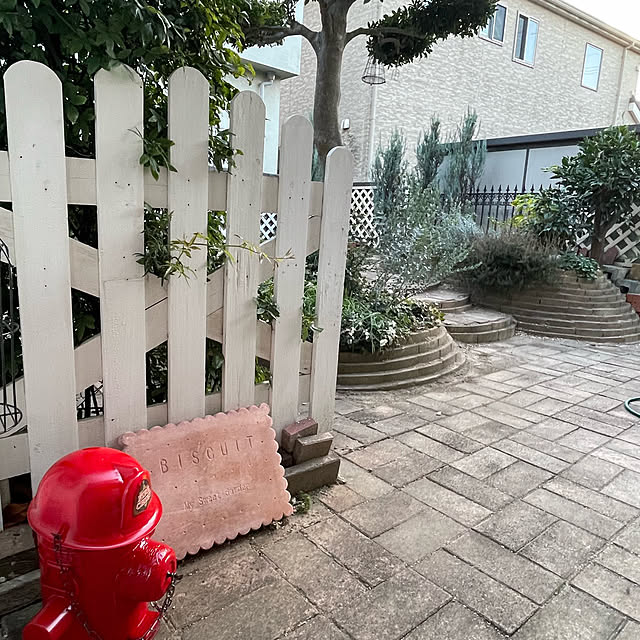 momocchiさんの部屋