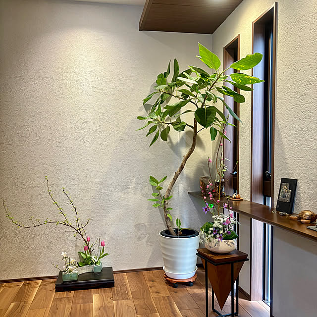 玄関/入り口/季節の花を楽しむ/花のある暮らし/自作の花器/趣味の陶芸のインテリア実例 - 2025-03-03 23:52:39