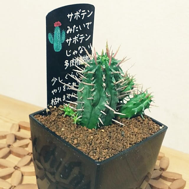 kanaさんの実例写真