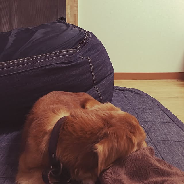 kanonoさんの実例写真