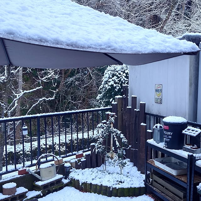 marumiさんの実例写真