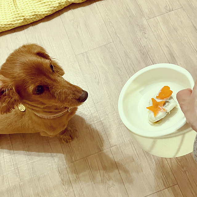Maiさんの部屋