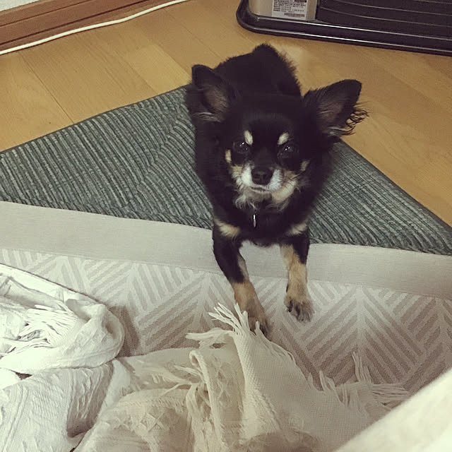 sakuさんの実例写真