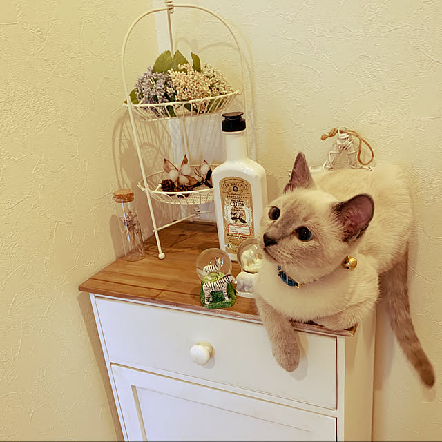 aichinさんの実例写真