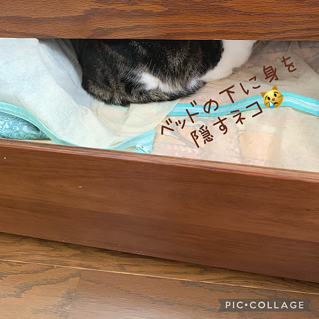 mariさんの実例写真