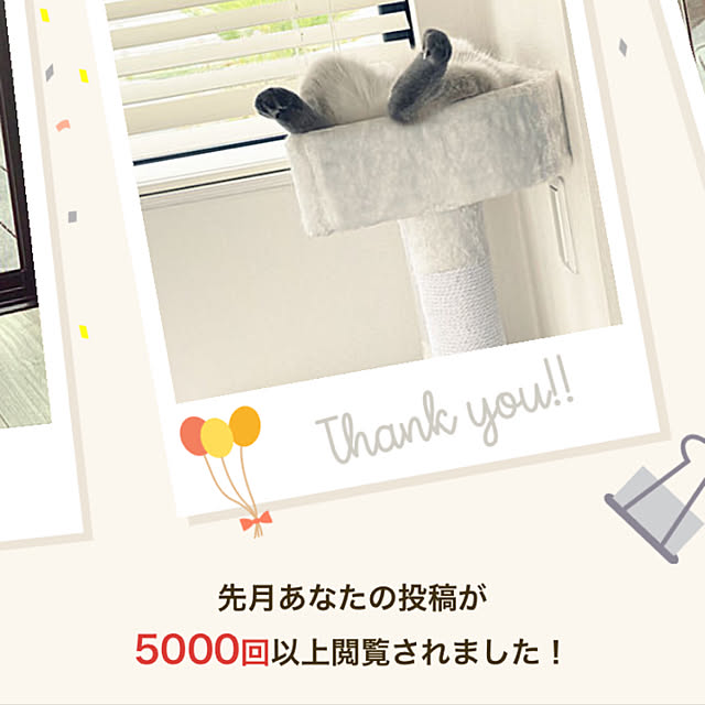 gingerwynksさんの実例写真