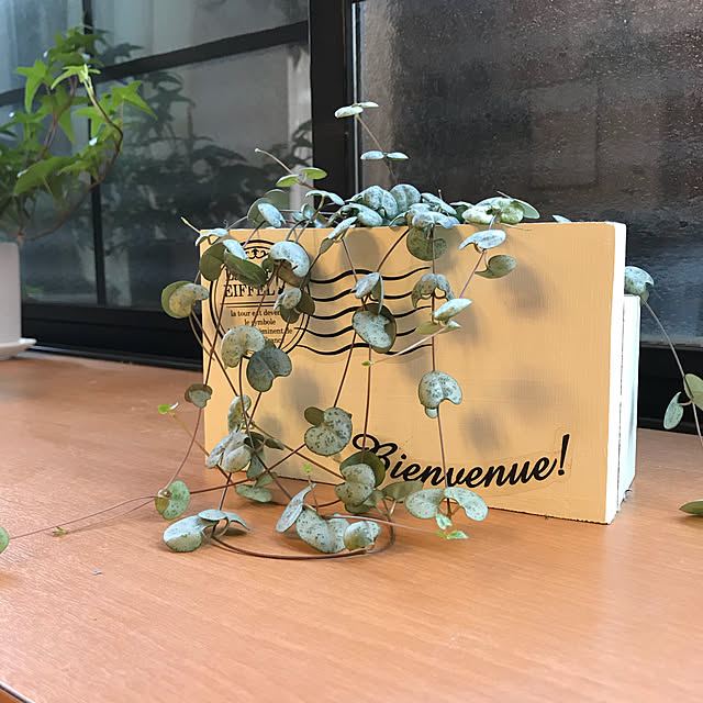 canmilmamaさんの実例写真
