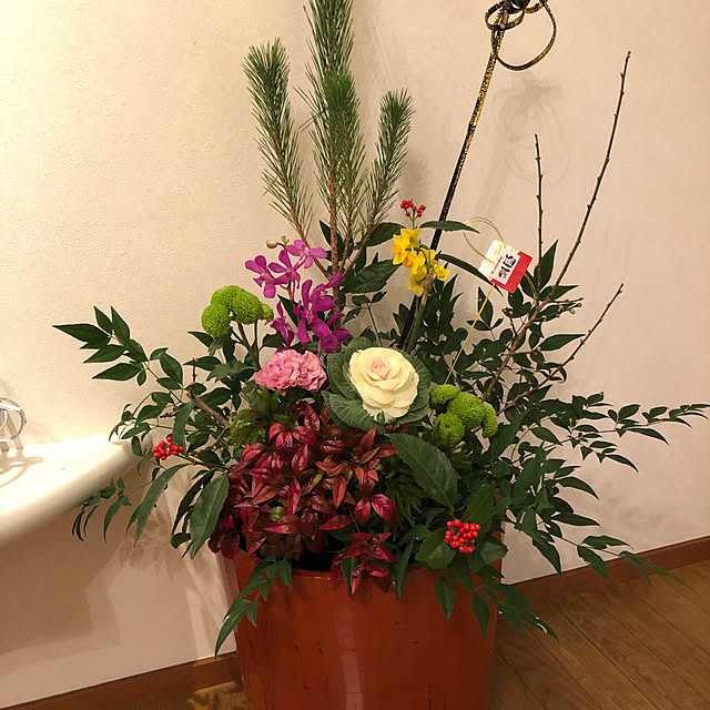 danranさんの実例写真