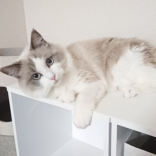sumishouseさんの実例写真
