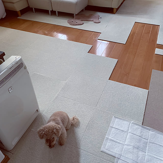 Momoさんの部屋