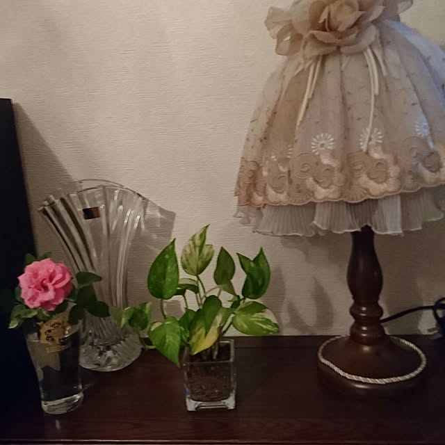 DoDさんの実例写真