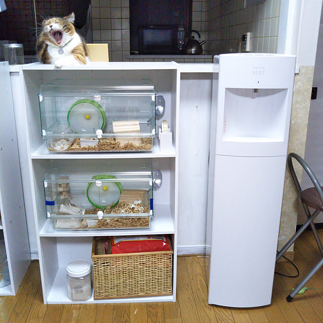 yukieさんの実例写真