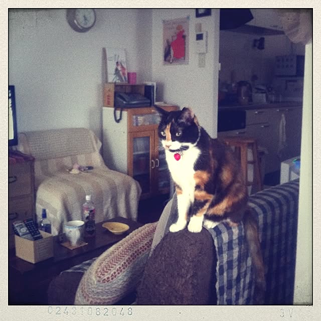 Rieさんの実例写真