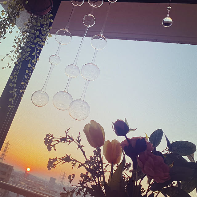 serin_ioriさんの実例写真