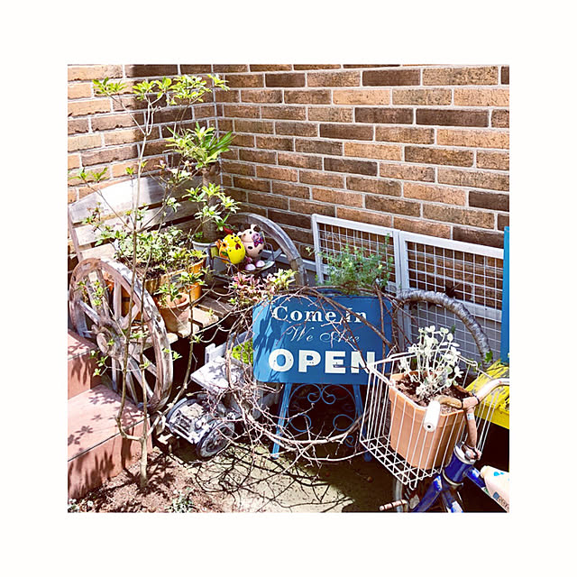 junkoさんの実例写真