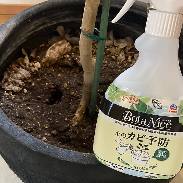yukikoさんの部屋