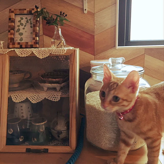 takakoさんの実例写真