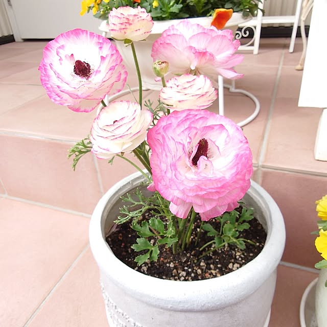 fleur-mamanさんの部屋