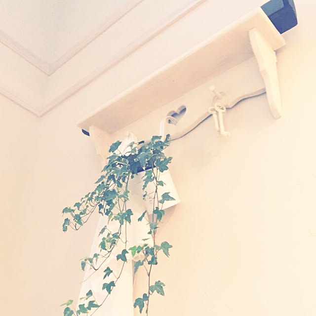 mokenyanさんの実例写真