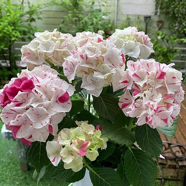 min_nimさんの部屋