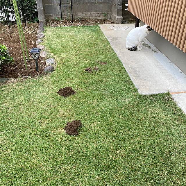 mkmkmoominさんの部屋