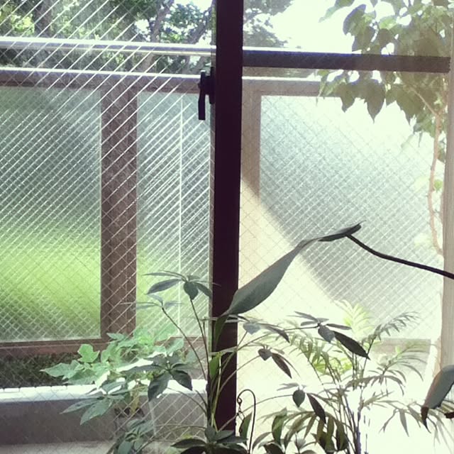 emichanbooさんの実例写真