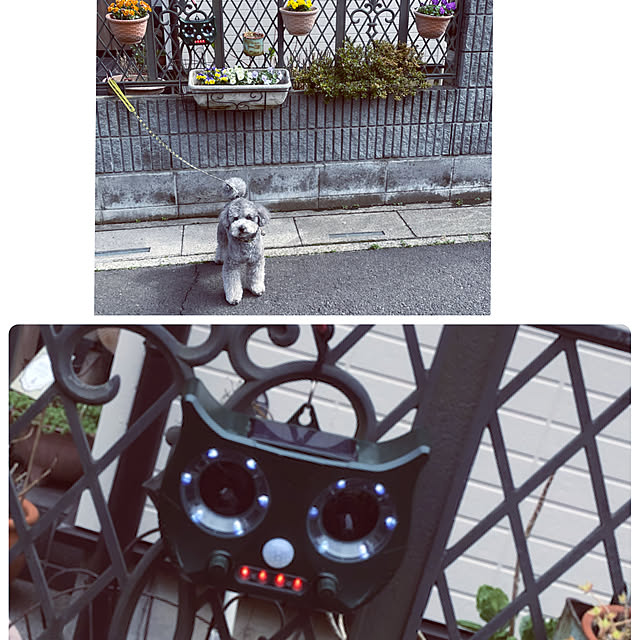 実例写真