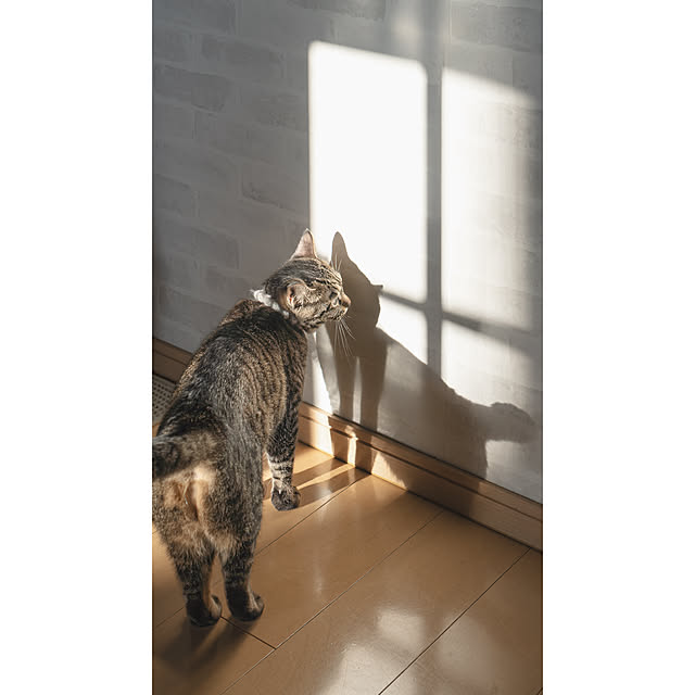 oliveさんの部屋