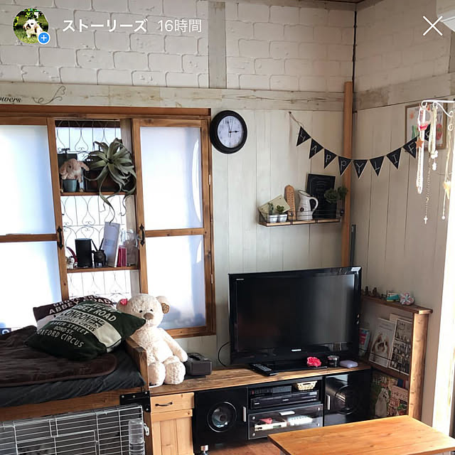 ハンドメイド/DIY/100均/フェイクグリーン/部屋全体のインテリア実例 - 2019-06-11 08:16:10