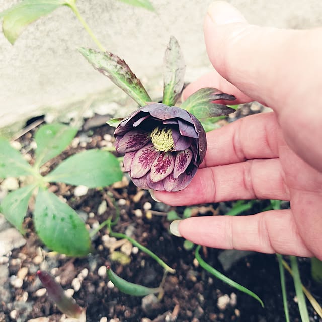 kiraさんの部屋