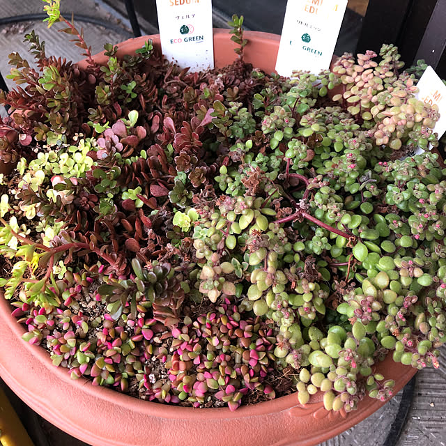 uchidaizuさんの実例写真