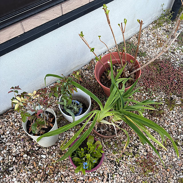 ritsukoさんの部屋