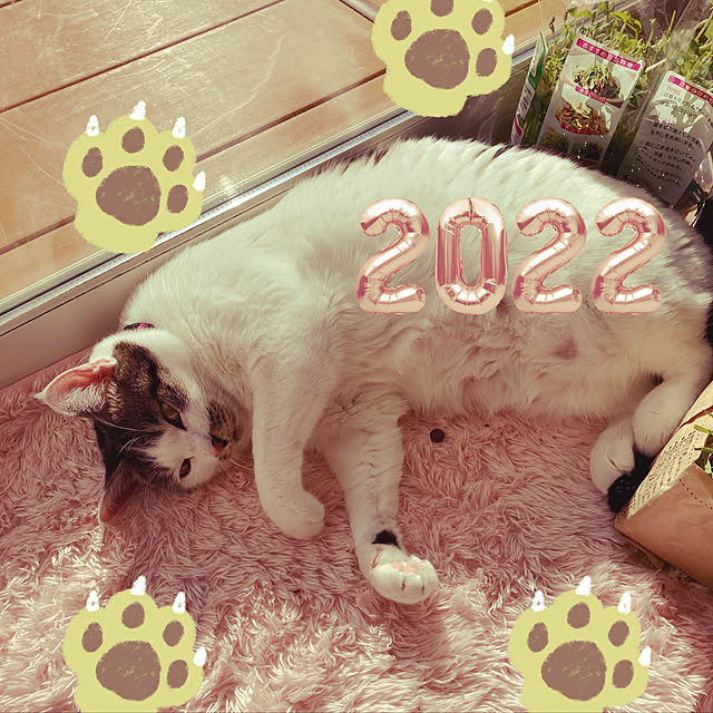 Gomaさんの実例写真