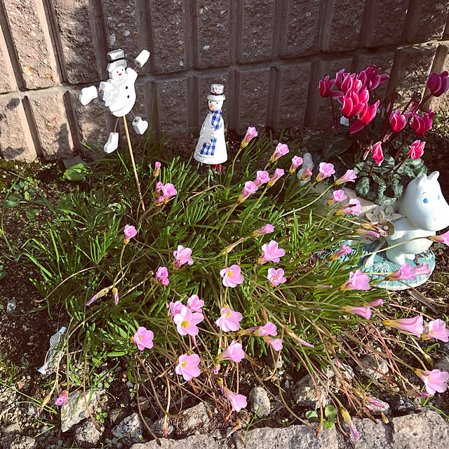 alchoさんの実例写真